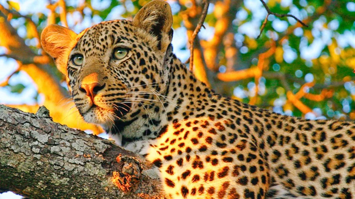 Test Service For Testing Draft Publish